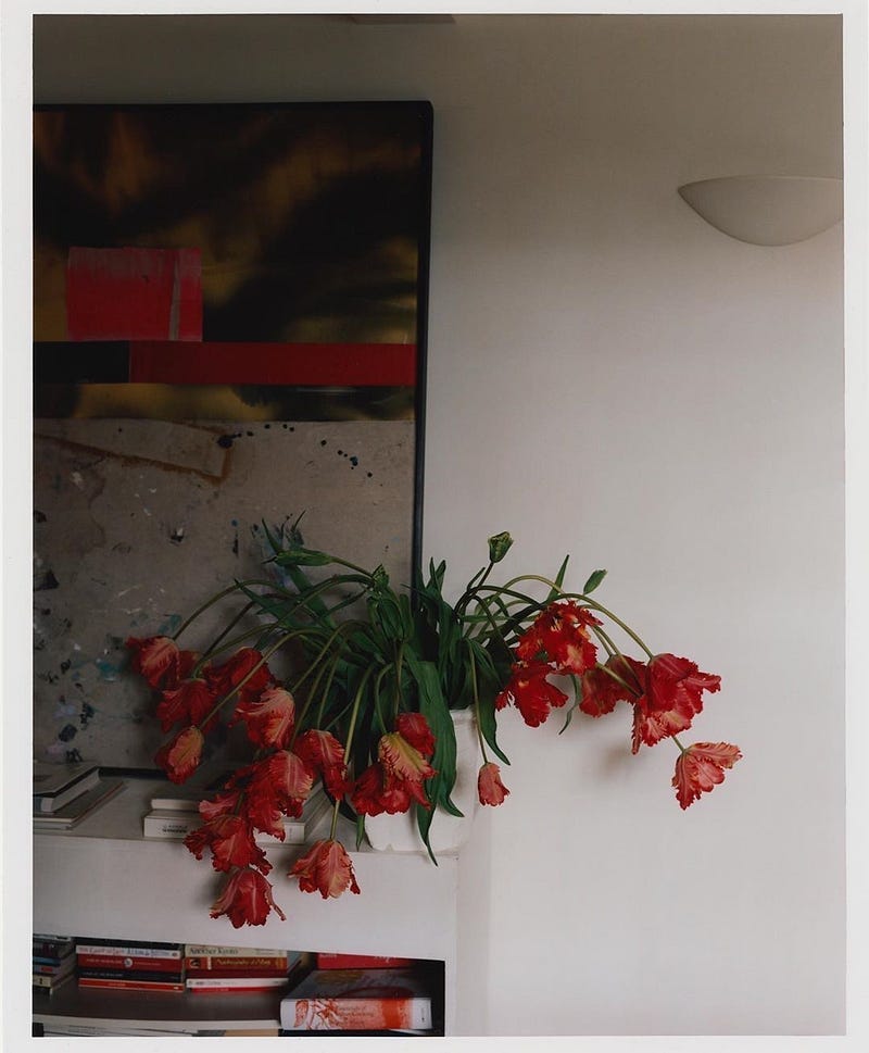 Joanna Goddard | Substack