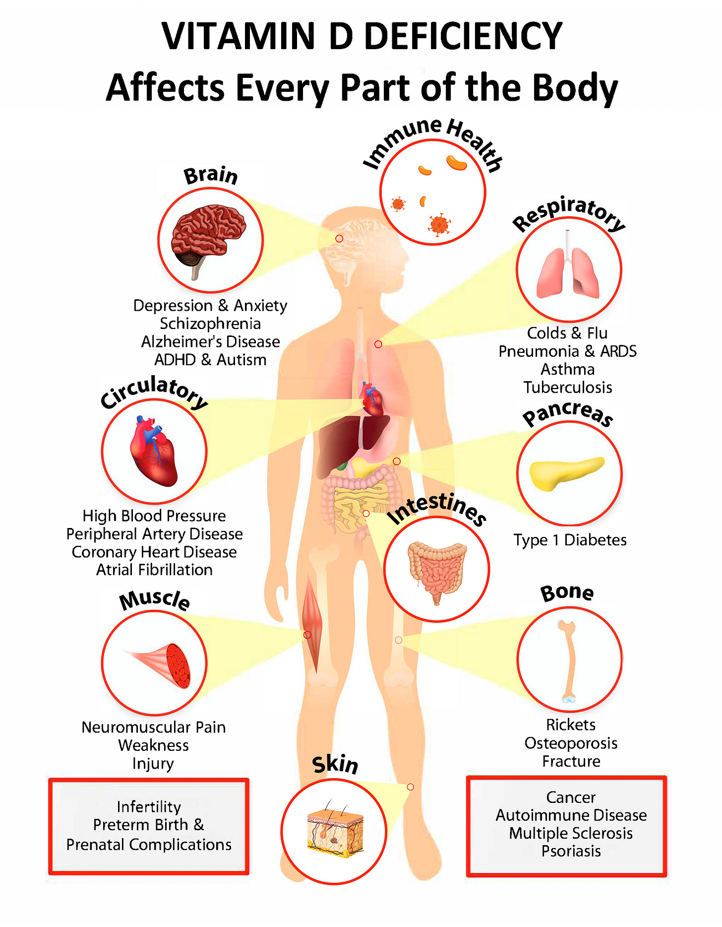 Vitamin D is Essential to All Systems of the Body - GrassrootsHealth