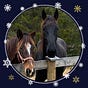 Phar Percheron's avatar