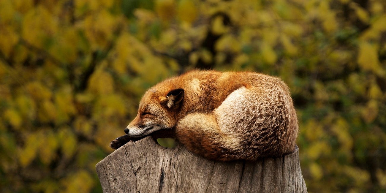 Attention and relaxation