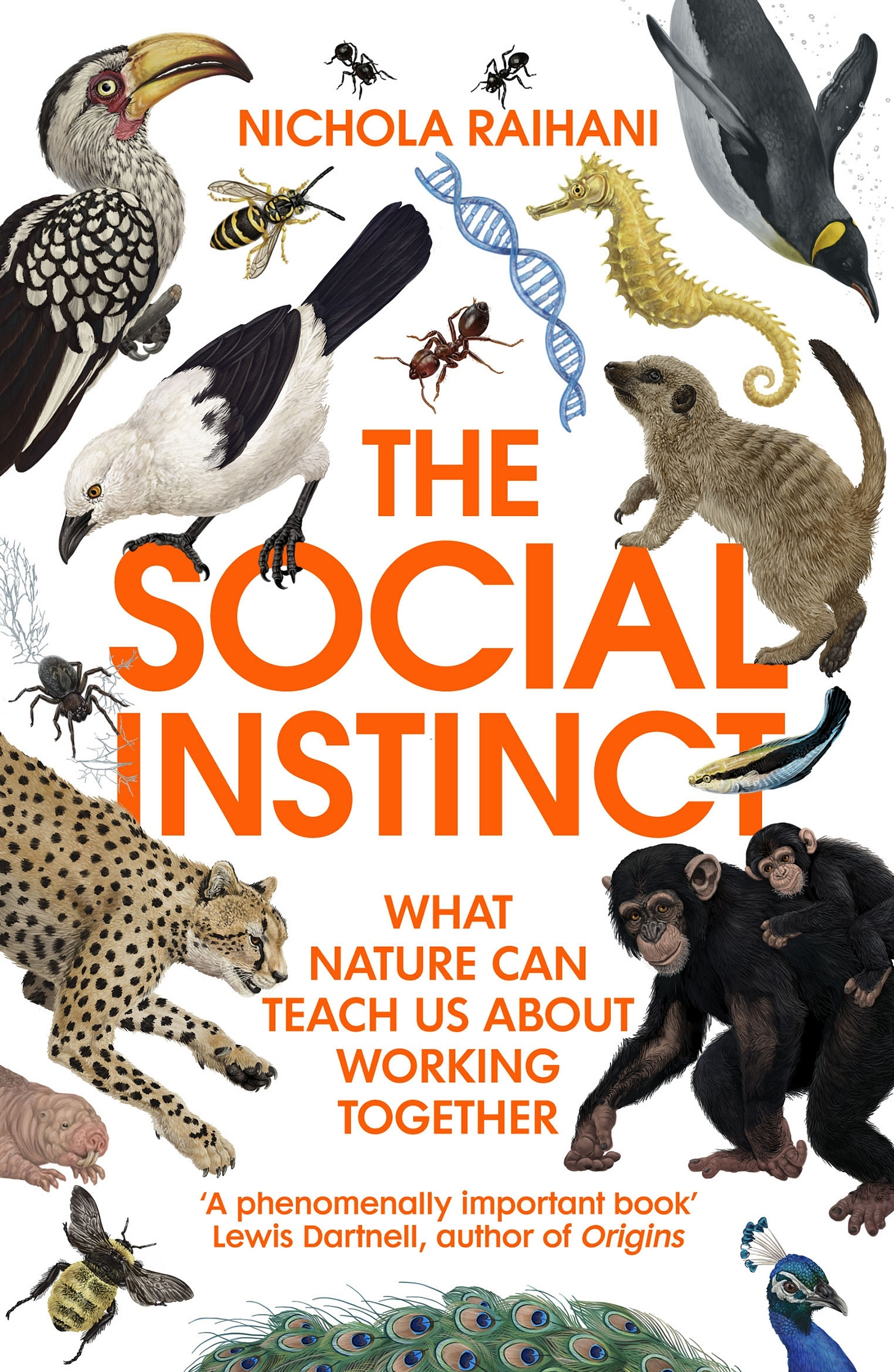 The Social Instinct by Nichola Raihani - Penguin Books Australia