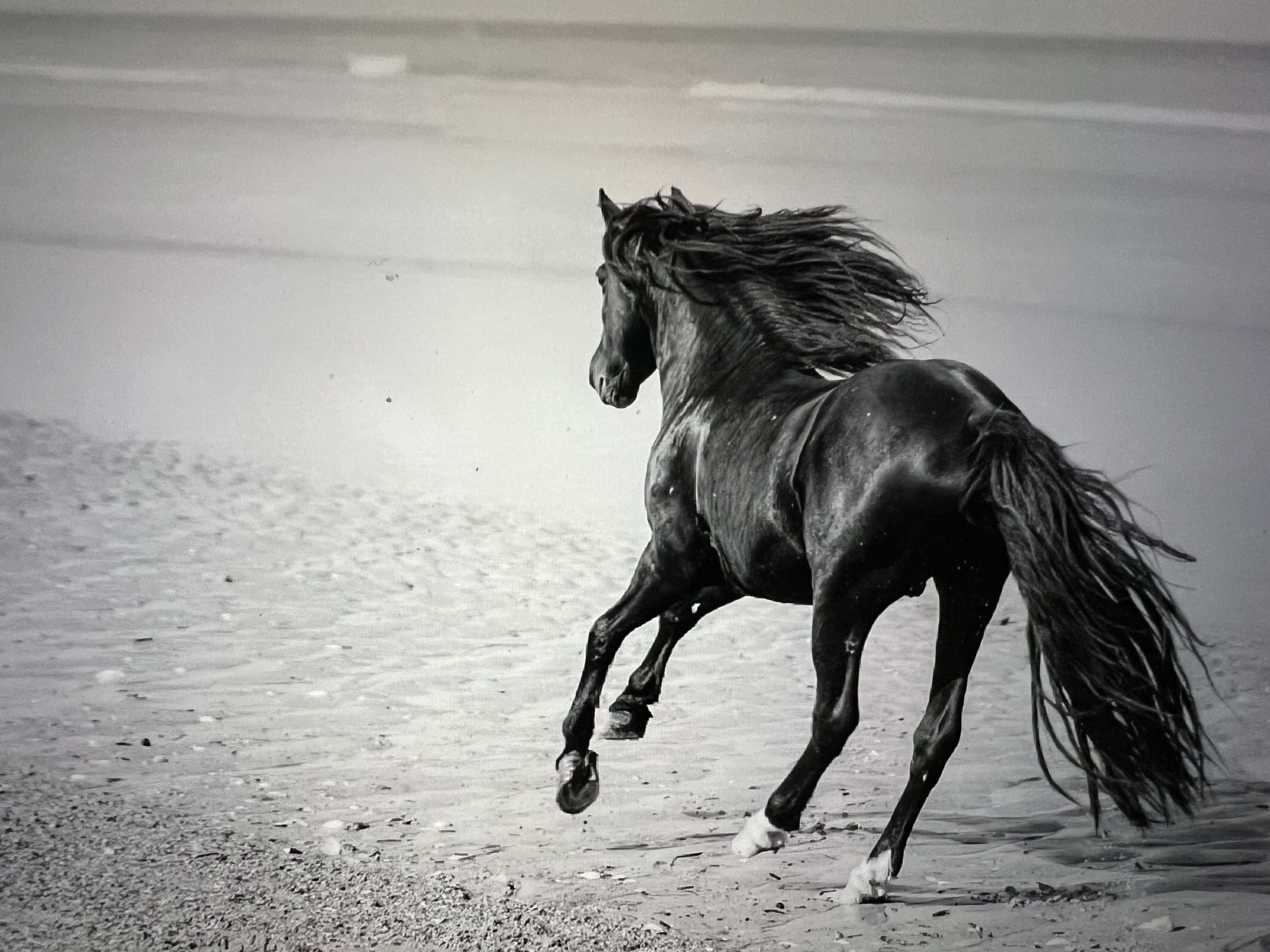 Uncensored Vaccine Injured Newsletter