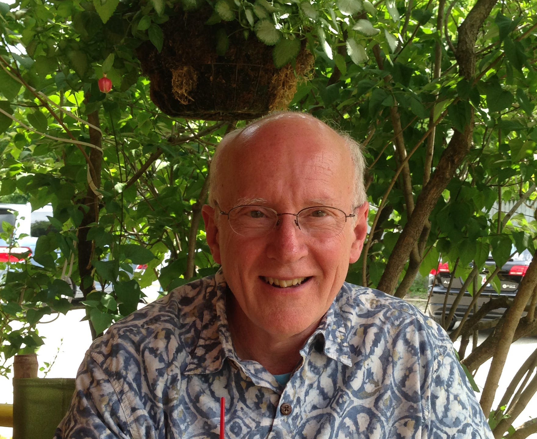 Hal’s Substack: A Seeker's Journey