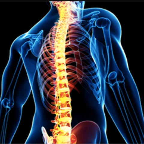 Egészséges Gerinc Csikunggal logo