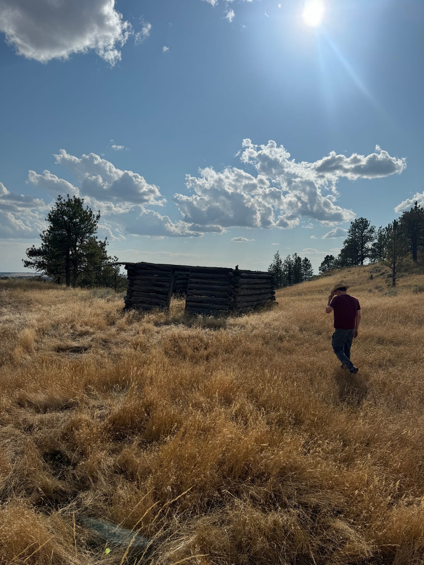 Jane Herman's homestead in Winifred MT