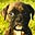 Melycan's avatar