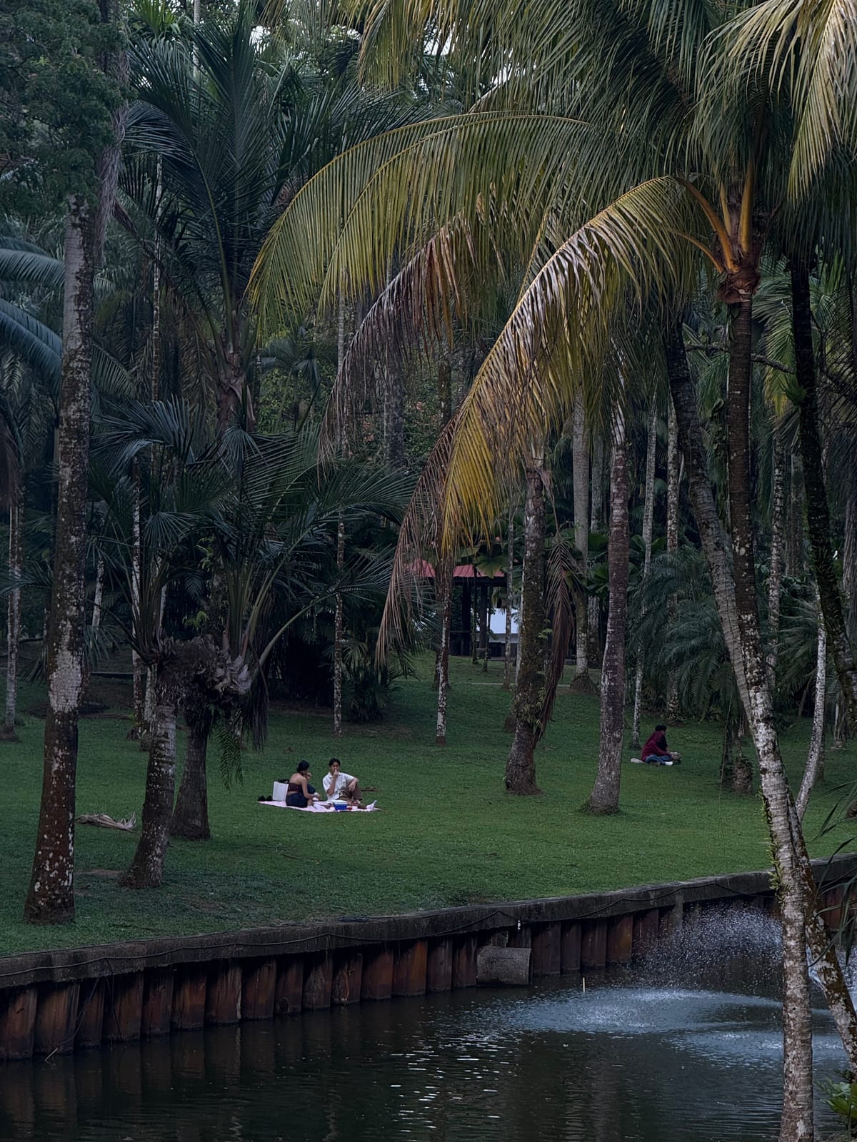 The problem with the internet The problem with the internet