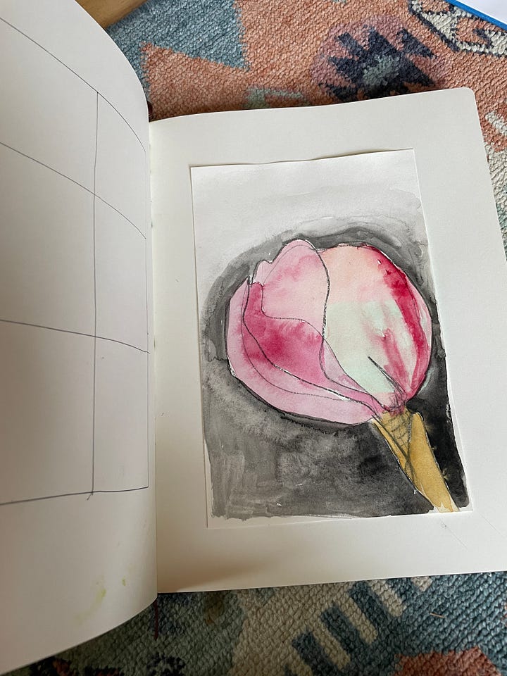 drawings of flowers in pencil, watercolor, and gouache