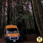 Van life duality in California's redwoods