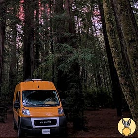 Van life duality in California's redwoods