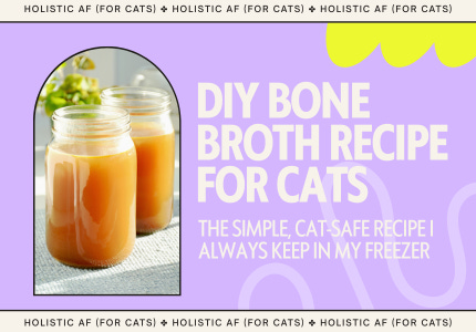 DIY Bone Broth Recipe for Cats - by HolisticAF4Cats