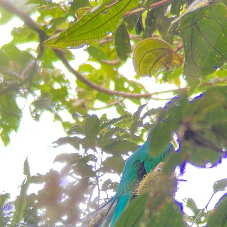 What am I doing here?