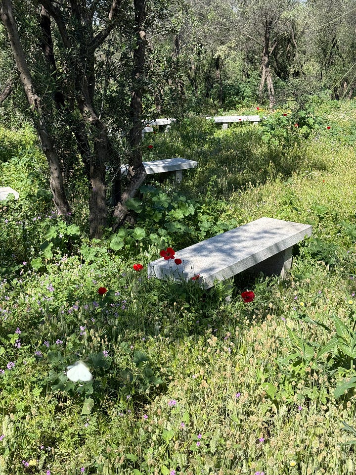 A bench among the wildflowers at the base of the acropolis and a closer look at the construction of the 9th century Church of Agios Dimitrios Loumbardiaris.