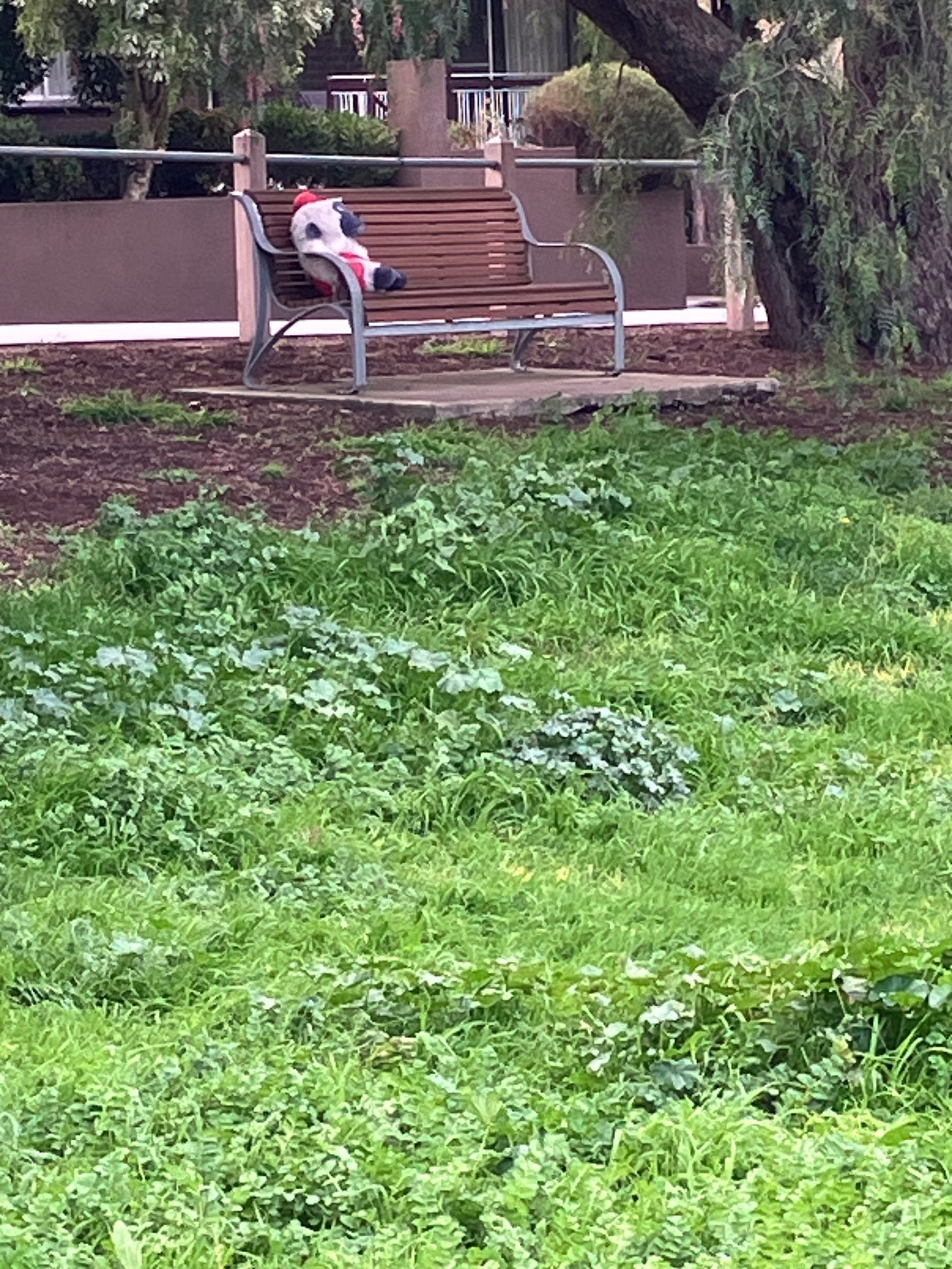 Photo of a stuffed toy sitting on a park bench