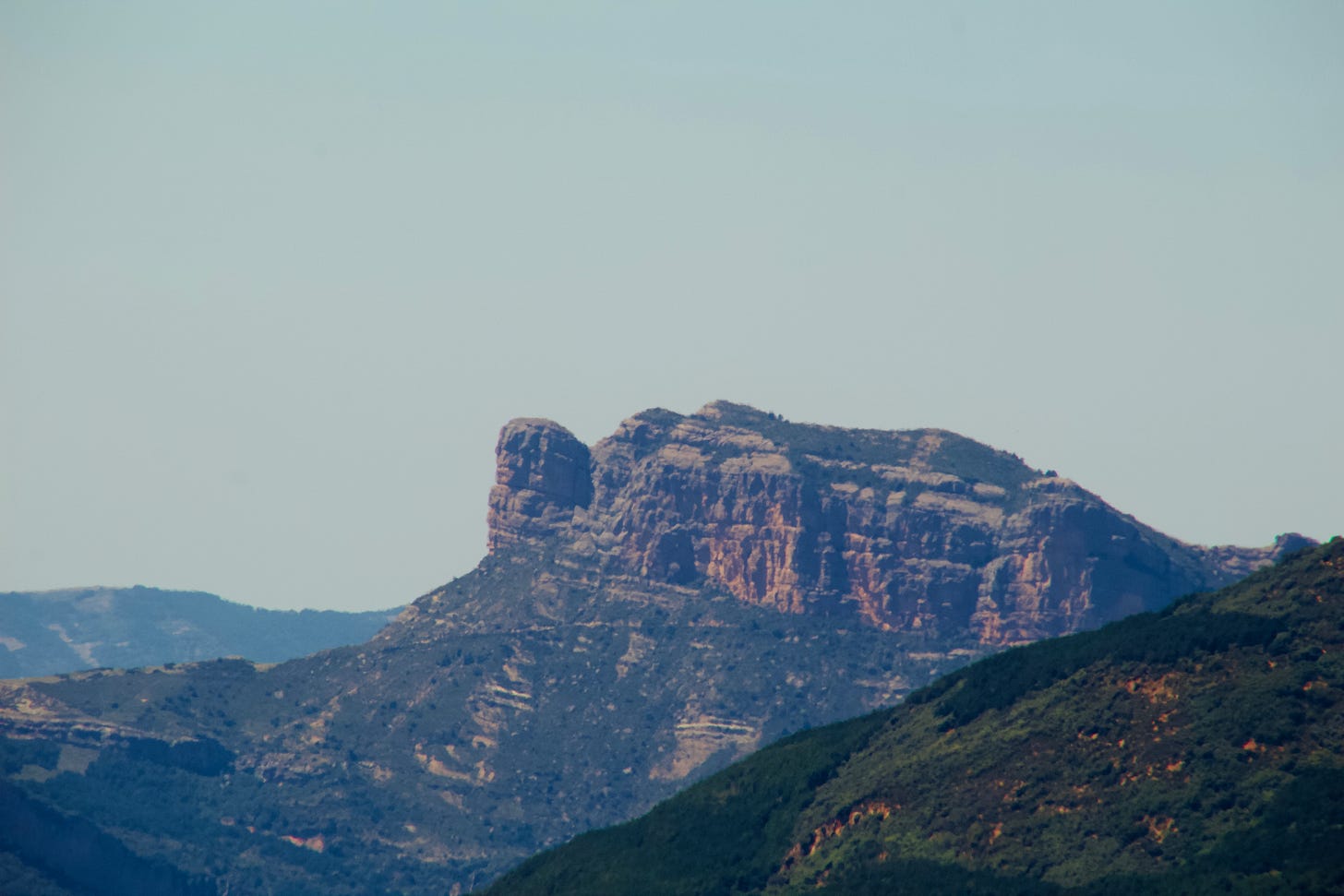 Brocó de Canada (o Brocoló), Serra del Cis. Ribagorça d’Osca. Aragó.