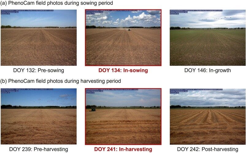PhenoCam field photos showing sowing and harvesting periods used for validation PhenoCam field photos showing sowing and harvesting periods used for validation