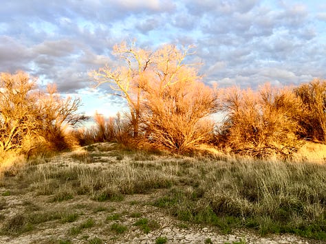 A beautiful ending to the perfect day, Wilcox Playa Wildlife Area, Arizona
