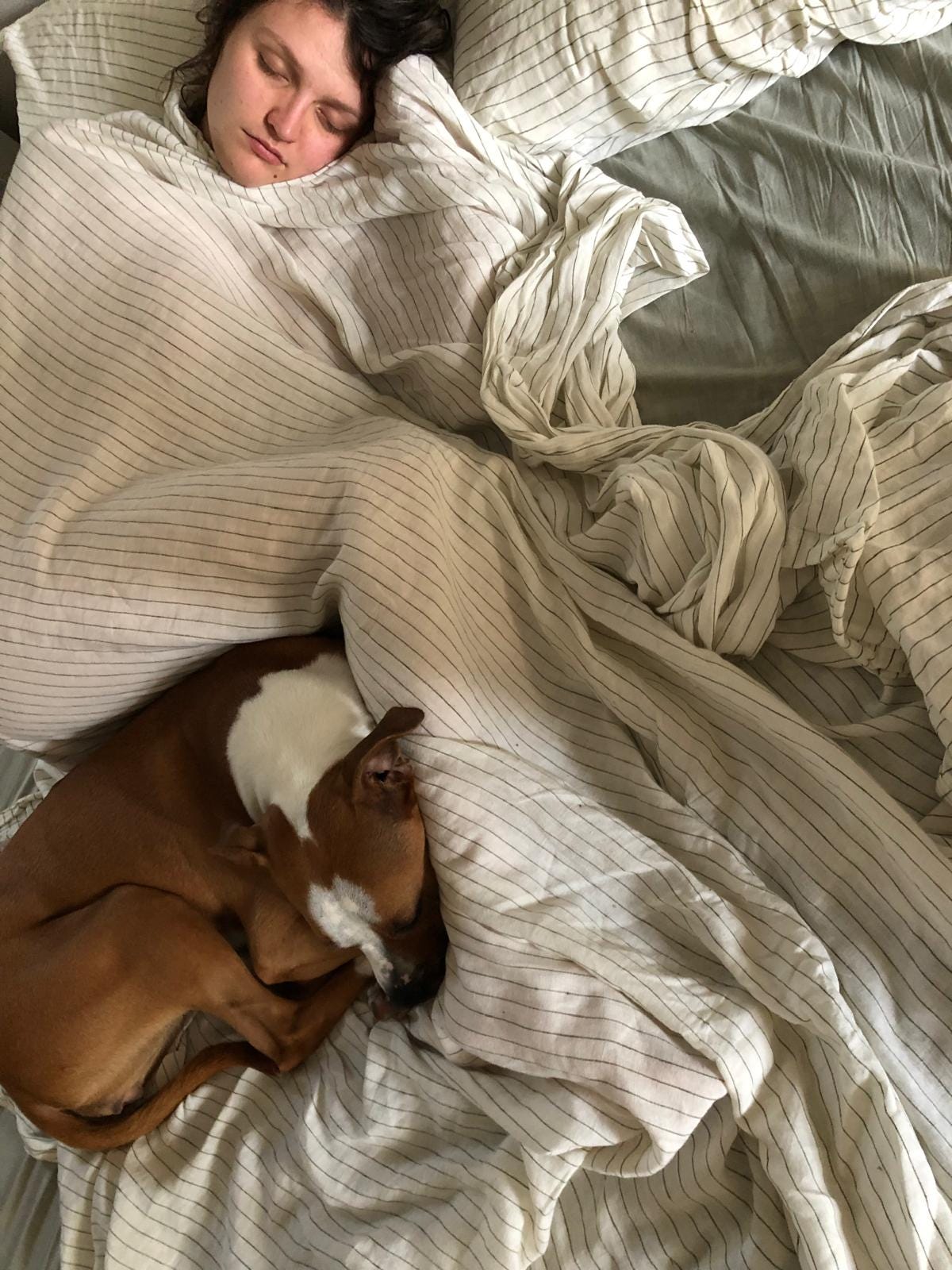 Jo asleep under a linen sheet, with Marmalade curled up in the crook of his knees