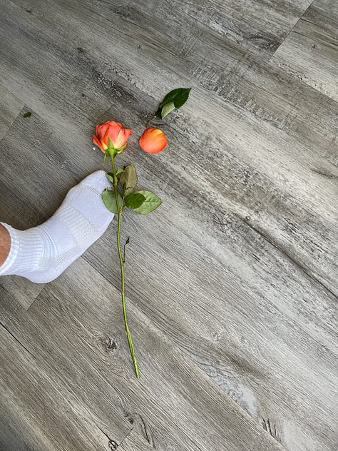 A cinematic series anchored in deep reds and soft shadow: two sculptural red lounge chairs beneath a large abstract canvas; a single orange rose placed against textured wood flooring; a blurred bouquet of roses glowing under streaks of warm light; a nighttime self-portrait reflected in glass doors; and a tightly framed cluster of red roses resting on a neutral surface. The compositions emphasize symmetry, negative space, reflection, and saturated color, creating a quiet narrative of intimacy, interior space, and becoming.