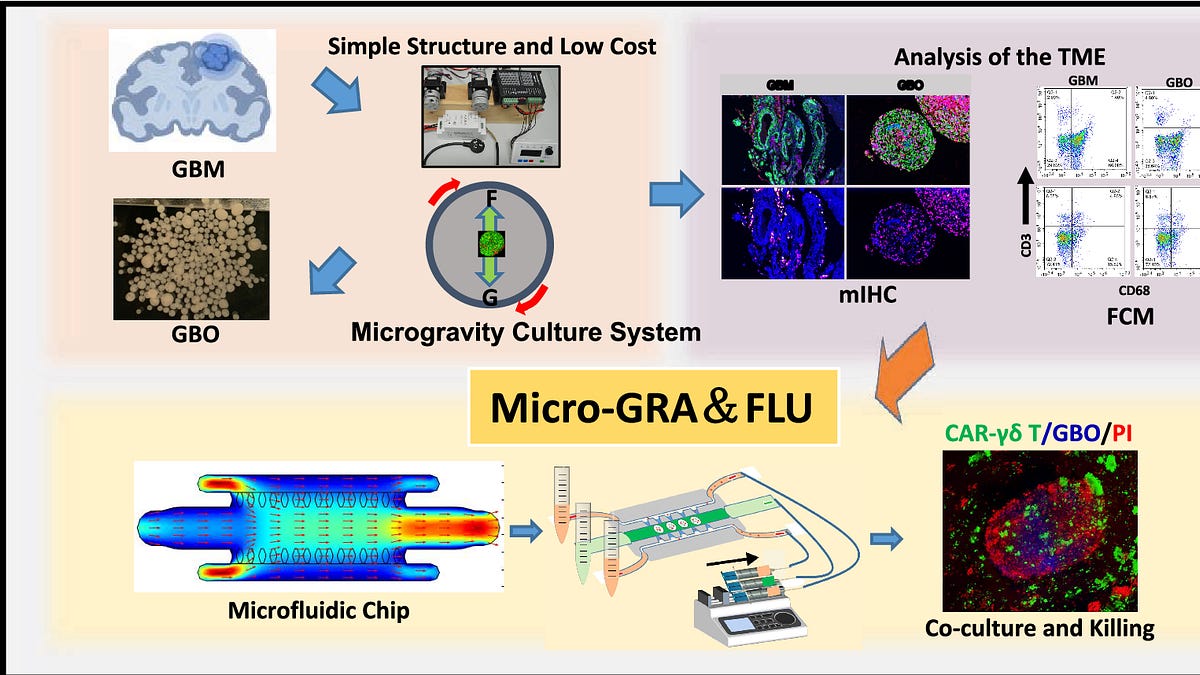 Glioblastoma Experiment Design for Microgravity [Strategy]
