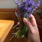Lavender Simple Syrup