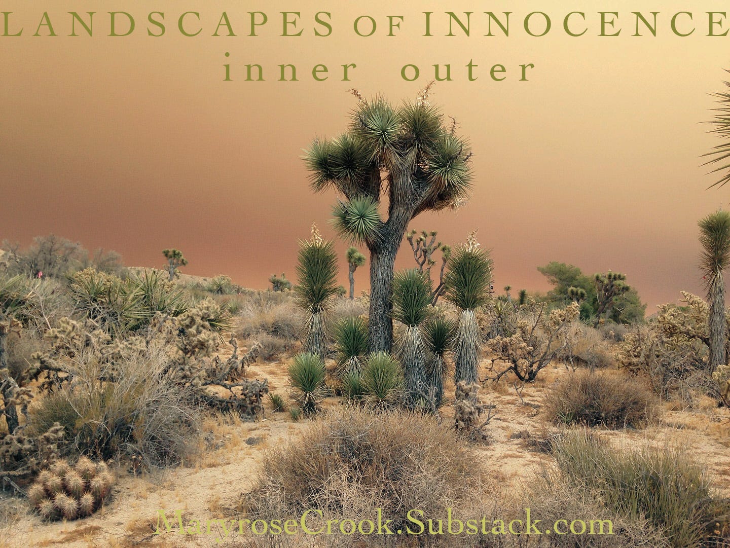 landscape of Joshua trees, with smoky fire skies behind them, with the words "Landscapes of Innocence" "inner outer" and "Maryrose Crook Substack.com