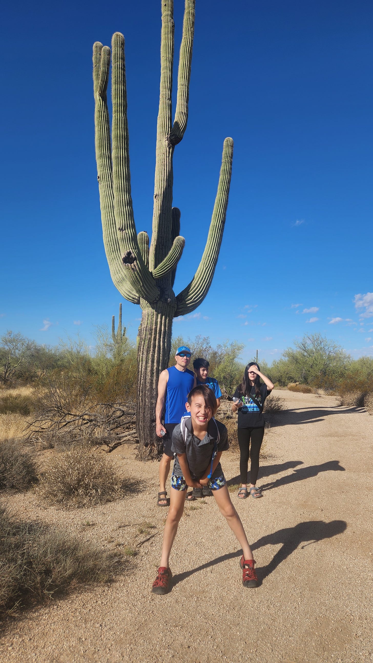 Arizona Cardinals Saguaro cactus
