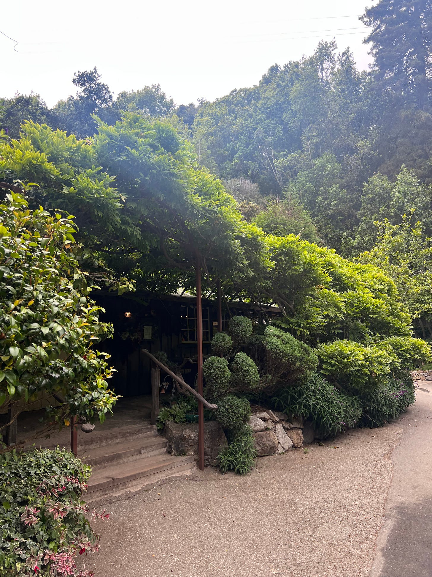 Deetjen's Big Sur Inn, nestled at the edge of a redwood forest