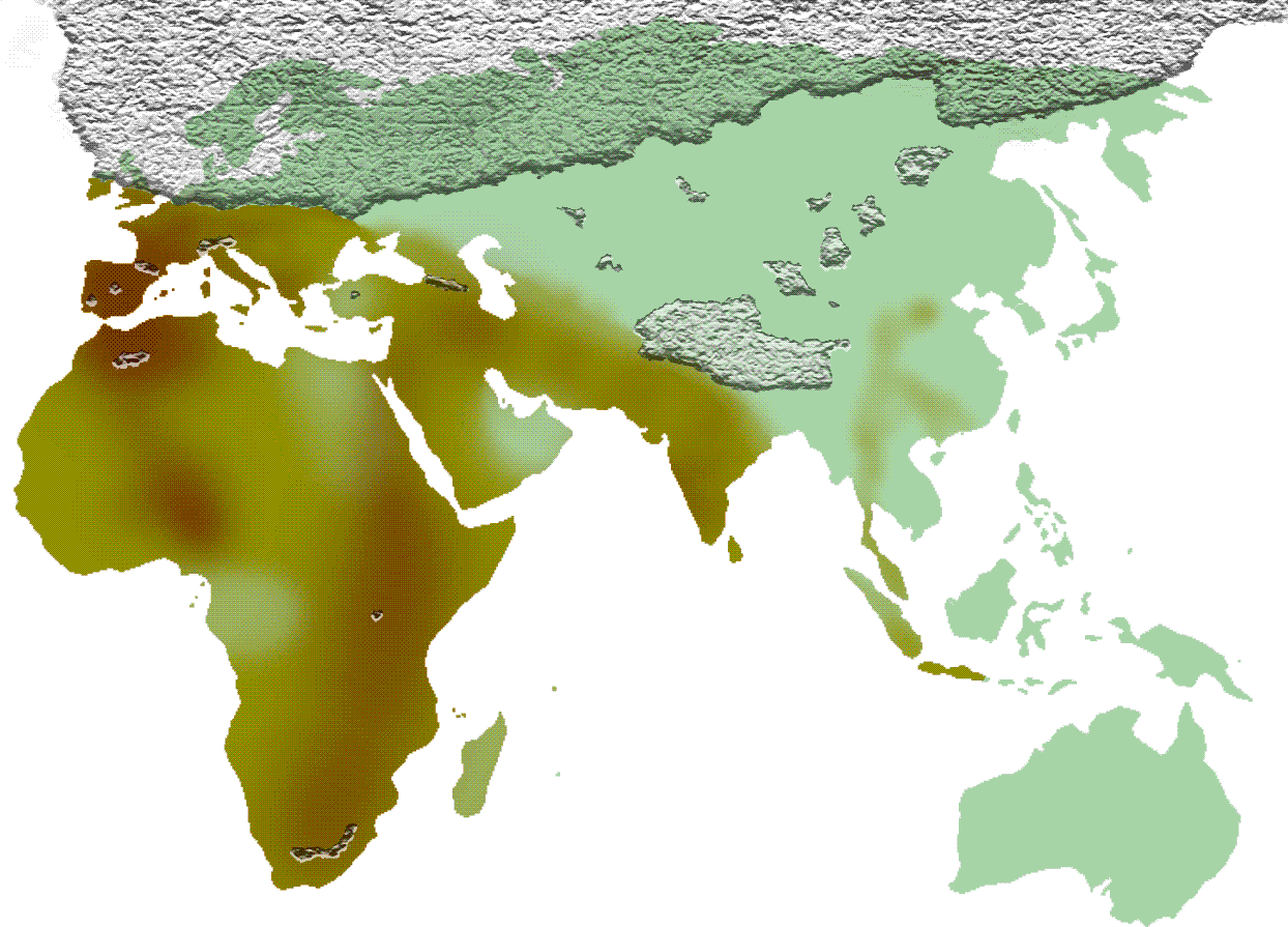 a map of the Movius line, dividing Africa, the Middle East, Europe and south Asia from the rest of the hemisphere. the northern reaches of the landmass are covered with ice a map of the Movius line, dividing Africa, the Middle East, Europe and south Asia from the rest of the hemisphere. the northern reaches of the landmass are covered with ice