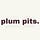 plum pits