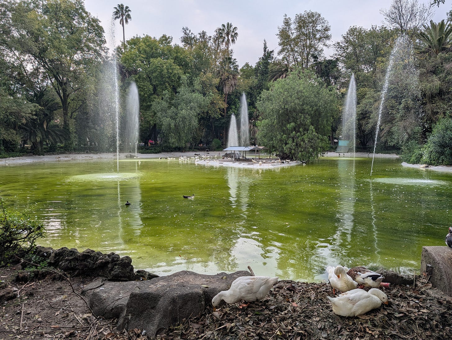 Parque Mexico, Condesa, Mexico City