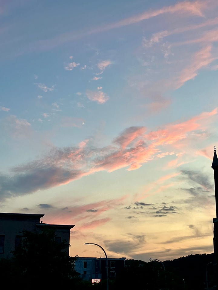 left: selfie of me, wearing a gray KN95 masks.  Right: Photo of the evening sky.  You can see the moon.  The sky is still light blue, and the clouds are lit up pink by the sunset.