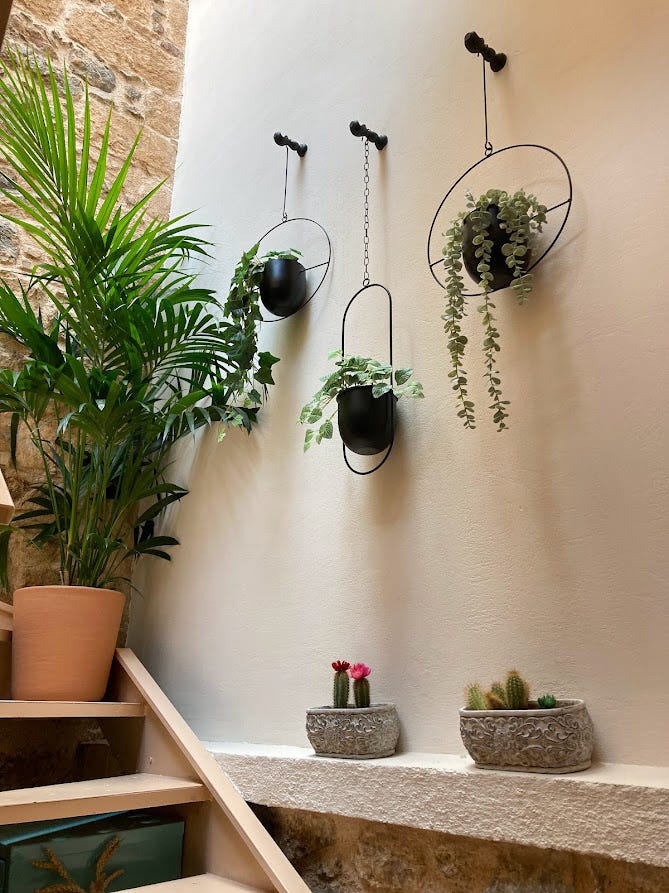 impression of interior design, minimalistic and many plants so still cosy