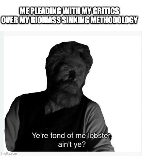 Willem Dafoe from The Lighthouse, under the text "Me pleading with my critics over my biomass sinking methodology". Subtitle: "Ye're fond of me lobster, ain't ye?"