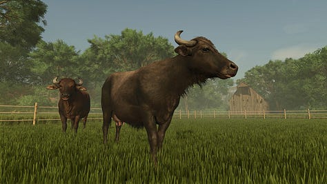 Farming Simulator 25 Area