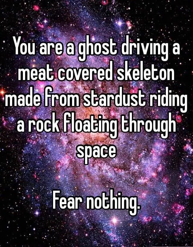This may contain: the words you are ghost driving a meat covered skeleton made from stardust riding a rock floating through space