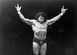 SUMMER OF THE SUPERFLY. Professional ...