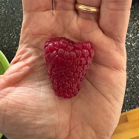 Psalm 2 - The Kingdom of What Is