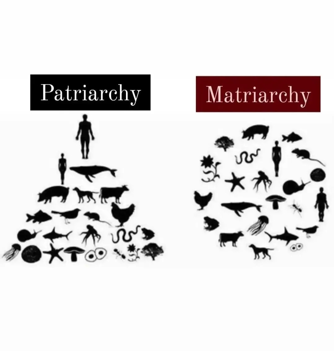 Patriarchy shown as a hierarchy with men on top, women and other animals on the levels below; and matriarchy shown as a circle in which all living things co-exist equally. Patriarchy shown as a hierarchy with men on top, women and other animals on the levels below; and matriarchy shown as a circle in which all living things co-exist equally.