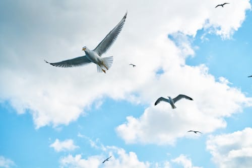 Soaring your growth mindset