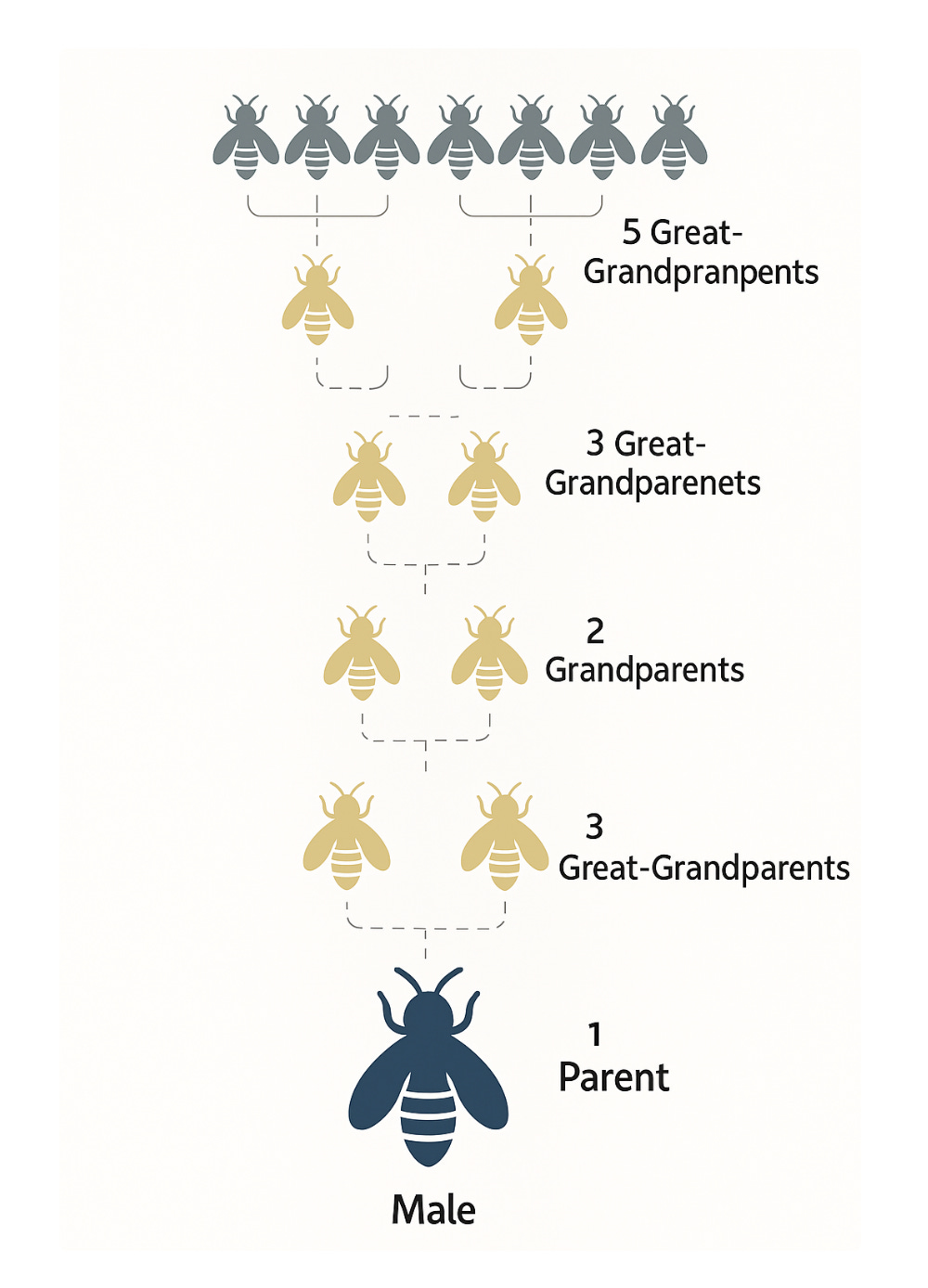 A diagram of a bee family

AI-generated content may be incorrect.