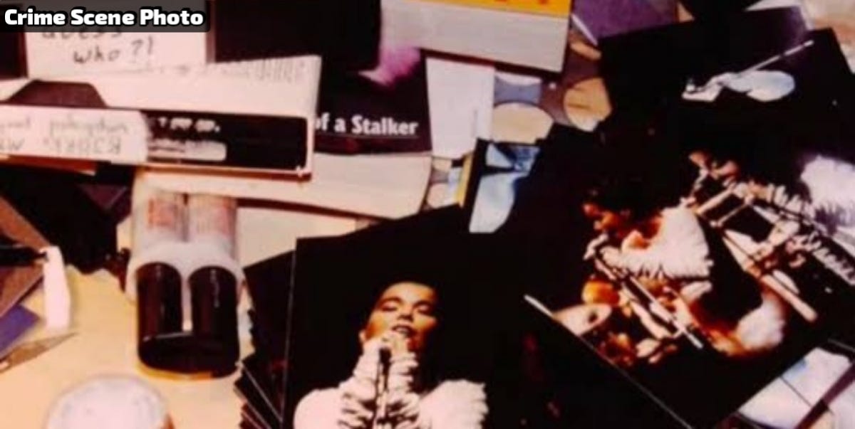 Dark History: The Stalker, the Singer, and the Acid Bomb - Ricardo