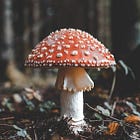 Mushroom Mania | A Fantasy Short Story
