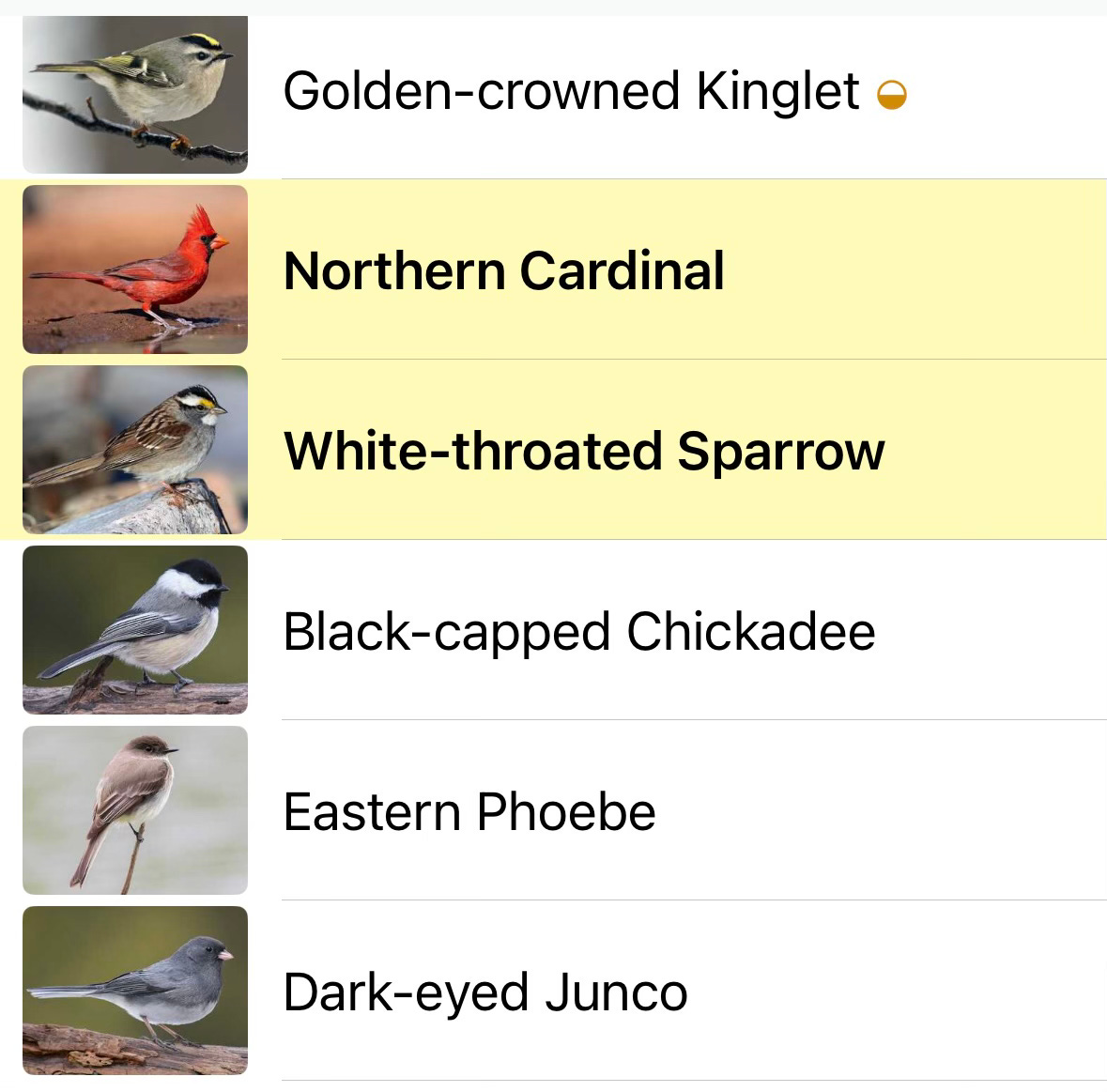 a list of nearby birds with pictures a list of nearby birds with pictures