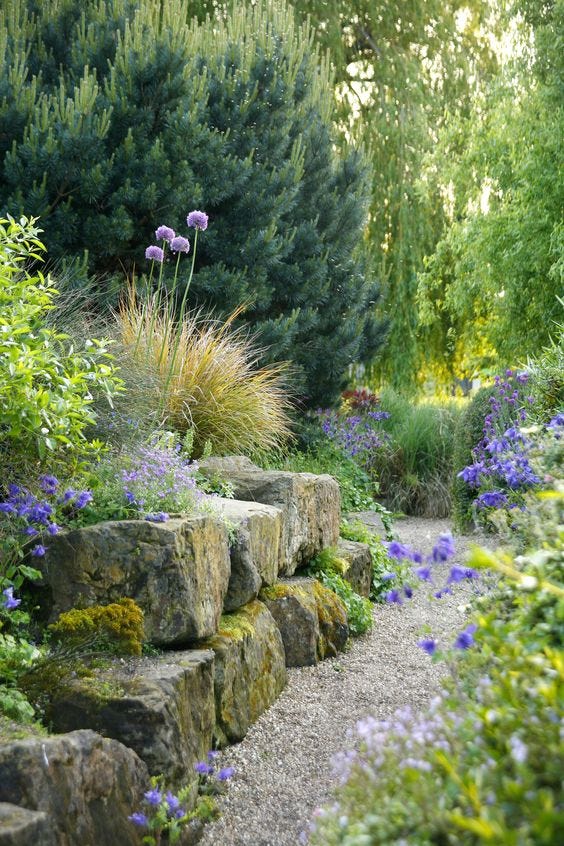 rock garden