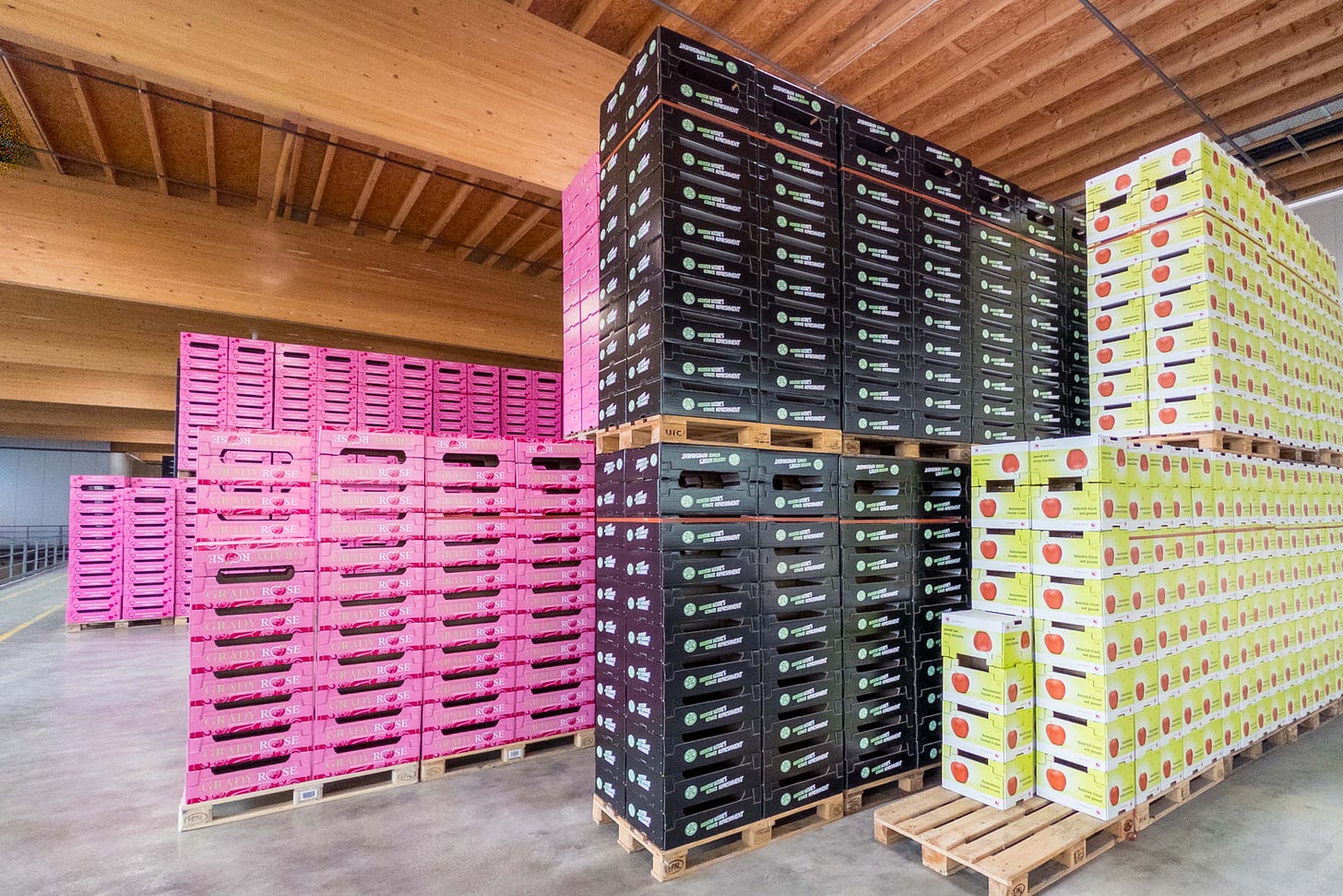 Transportkisten aus Karton, Holz und Plastik in allen Farben bei Inoverde in Charrat. Transportkisten aus Karton, Holz und Plastik in allen Farben bei Inoverde in Charrat.