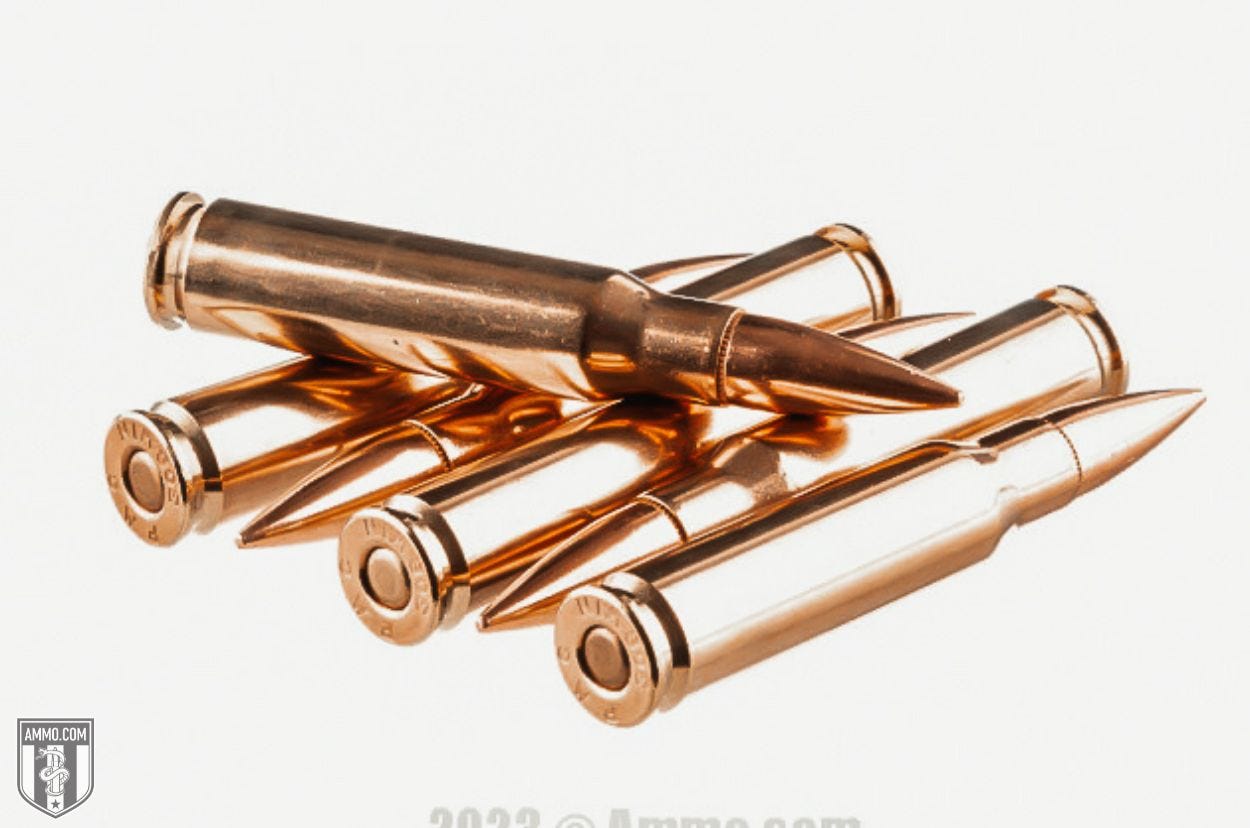 308 Winchester ammo for sale