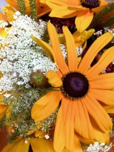 black-eyed susan and queen anne's lace black-eyed susan and queen anne's lace