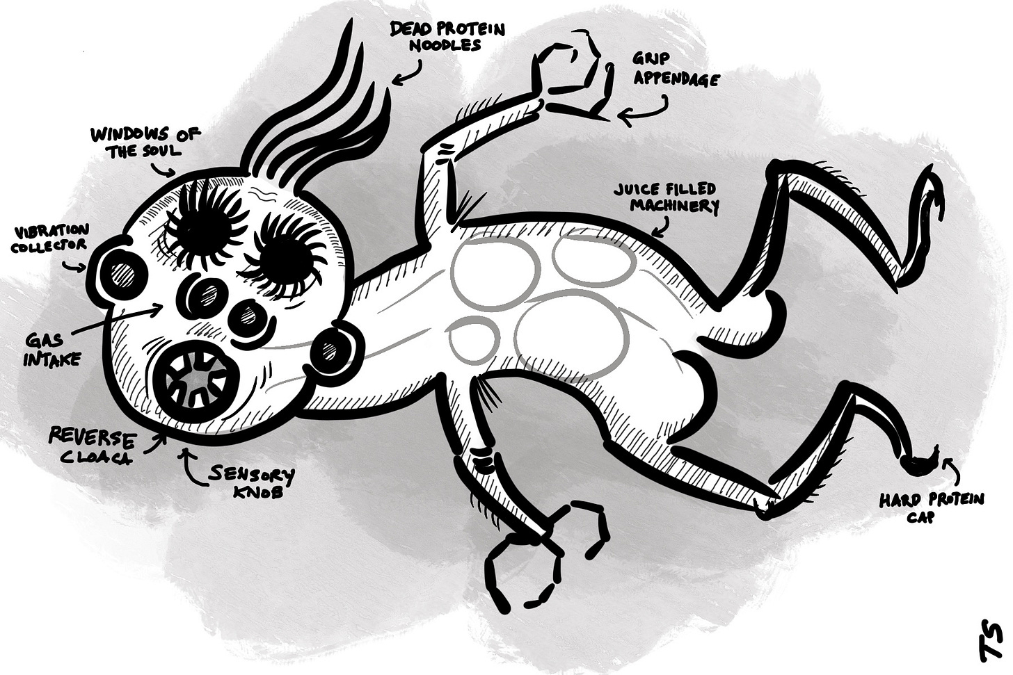 black and white drawing of a grotesque schematic showing an alien's view of the human body