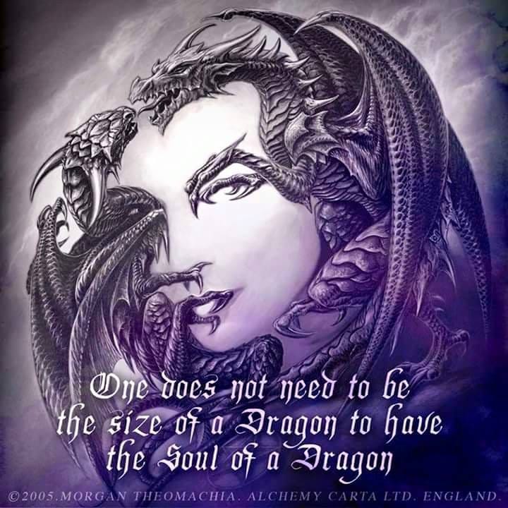 Chrissie’s Newsletter